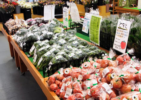 新鮮！熊本産季節野菜の詰め合わせ スタンダードな野菜から珍しい野菜まで『とれたて』を8〜10品・4名様用お届けいたします。野菜の《 味 》をお楽しみください