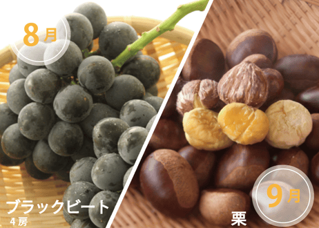 【フルーツ定期便】熊本の採れたてフルーツお届けします！６ヶ月間に４回・合計４商品お届け