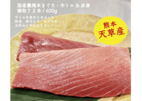 天草産！養殖本まぐろ・中トロ&赤身　600g