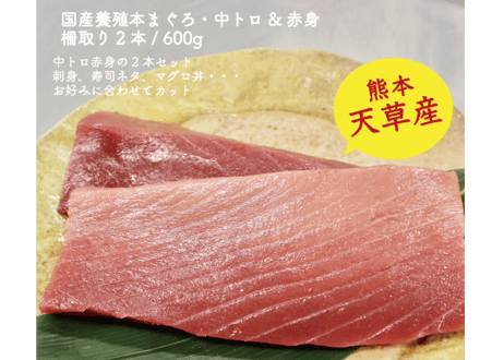 天草産！養殖本まぐろ・中トロ&赤身　600g