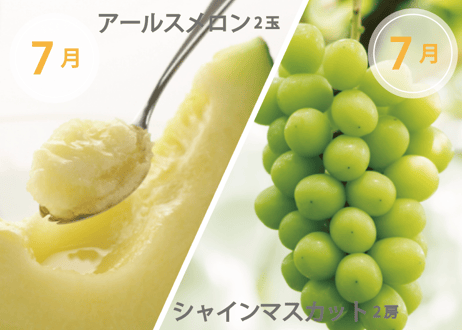 【フルーツ定期便】熊本の採れたてフルーツお届けします！６ヶ月間に４回・合計４商品お届け