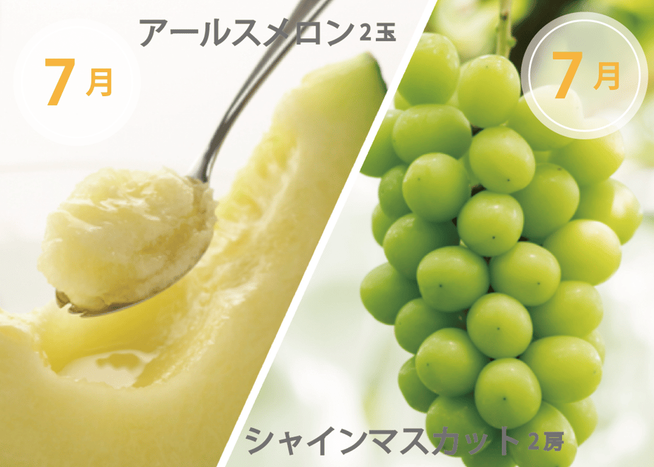 6178c4b77d5d817ff06a0e3f