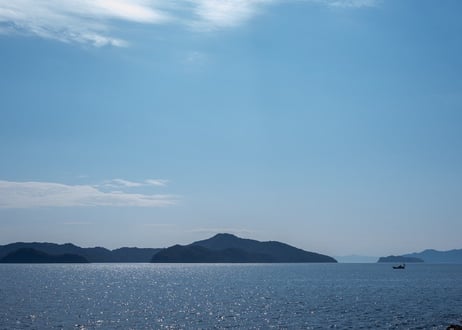 あおさ味噌汁・究極のこぶ茶バラエティセット　海の恵みを美味しく取り入れてください