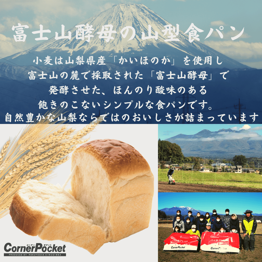 66d3e02b888a2e0ecde14eb5