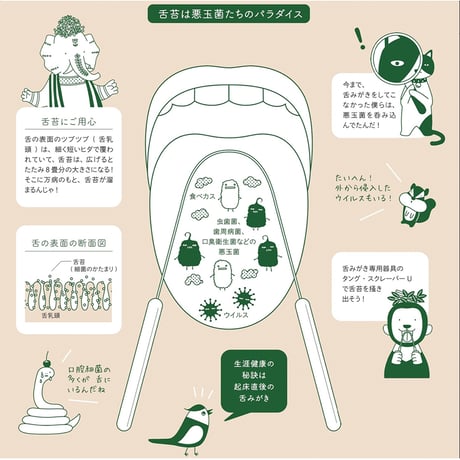 PREMAL　タング・スクレーパー