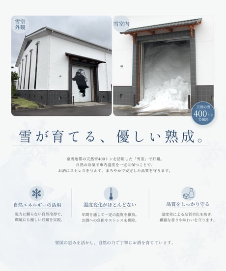 雪男おすすめセット