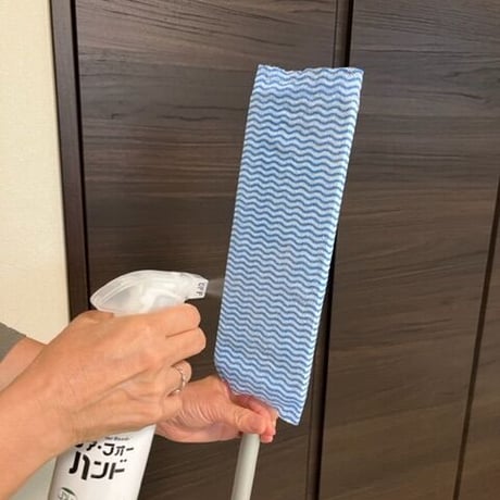 「ケア・フォーハンズプロフリー」　ノンアルコール除菌剤　有効成分：クロラス酸（亜塩素酸）　希釈使用タイプ　１Kg　※送料別