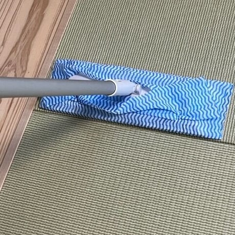 「ケア・フォーハンズプロフリー」　ノンアルコール除菌剤　有効成分：クロラス酸（亜塩素酸）　希釈使用タイプ　１Kg　※送料別