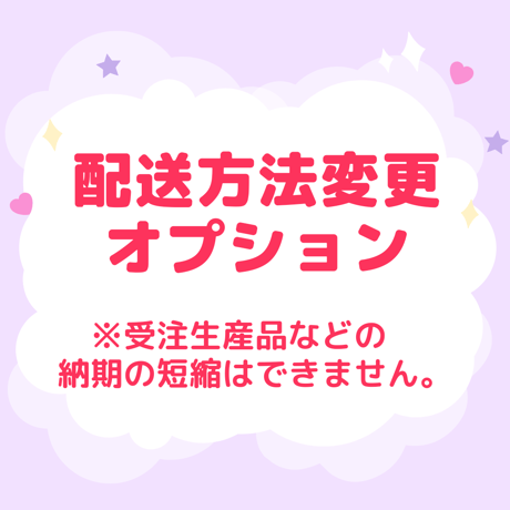 【配送方法変更オプション】レターパックプラス
