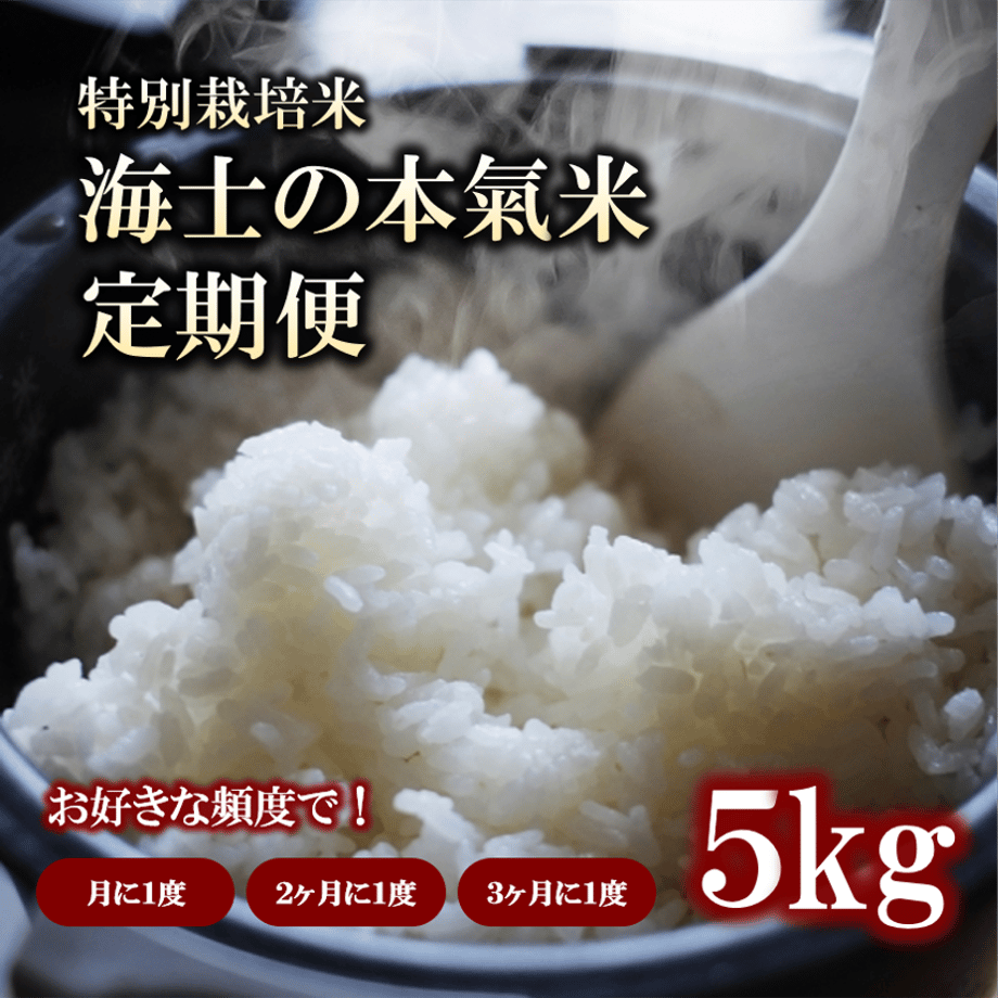 6080d013df62a9751c8e29d5