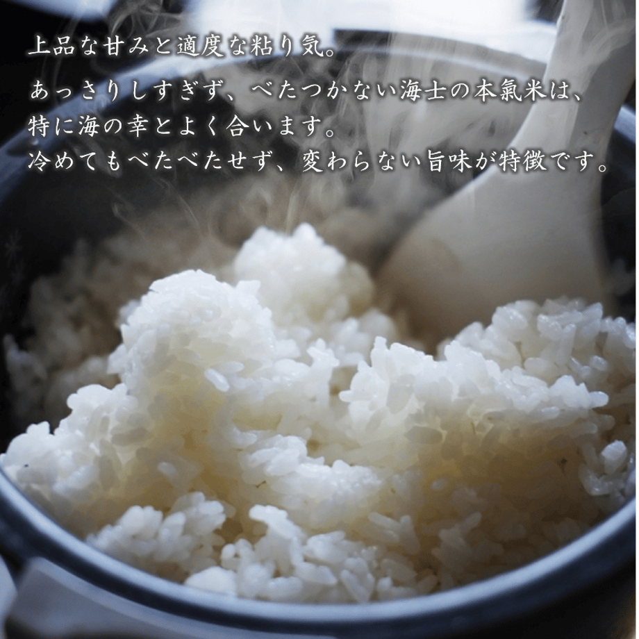 6009272f7fafdb3553c13d8d