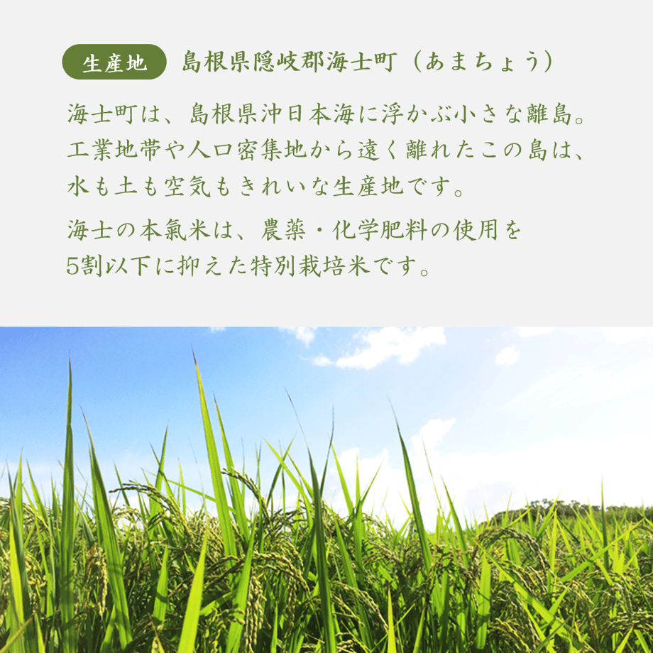 6009272f7fafdb3553c13d8d