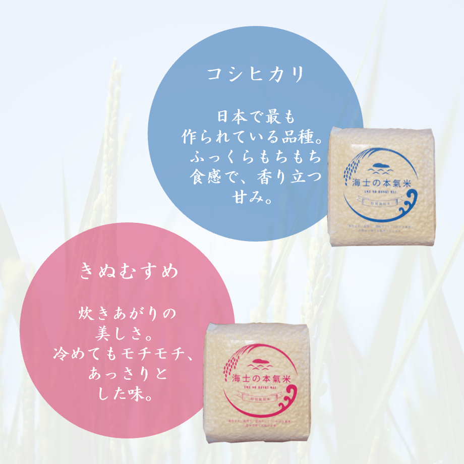 6009272f7fafdb3553c13d8d