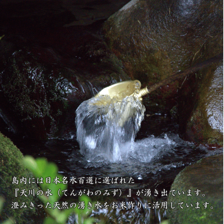 6009272f7fafdb3553c13d8d