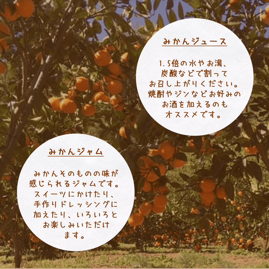 5ff4191f72eb46438a17a4c0