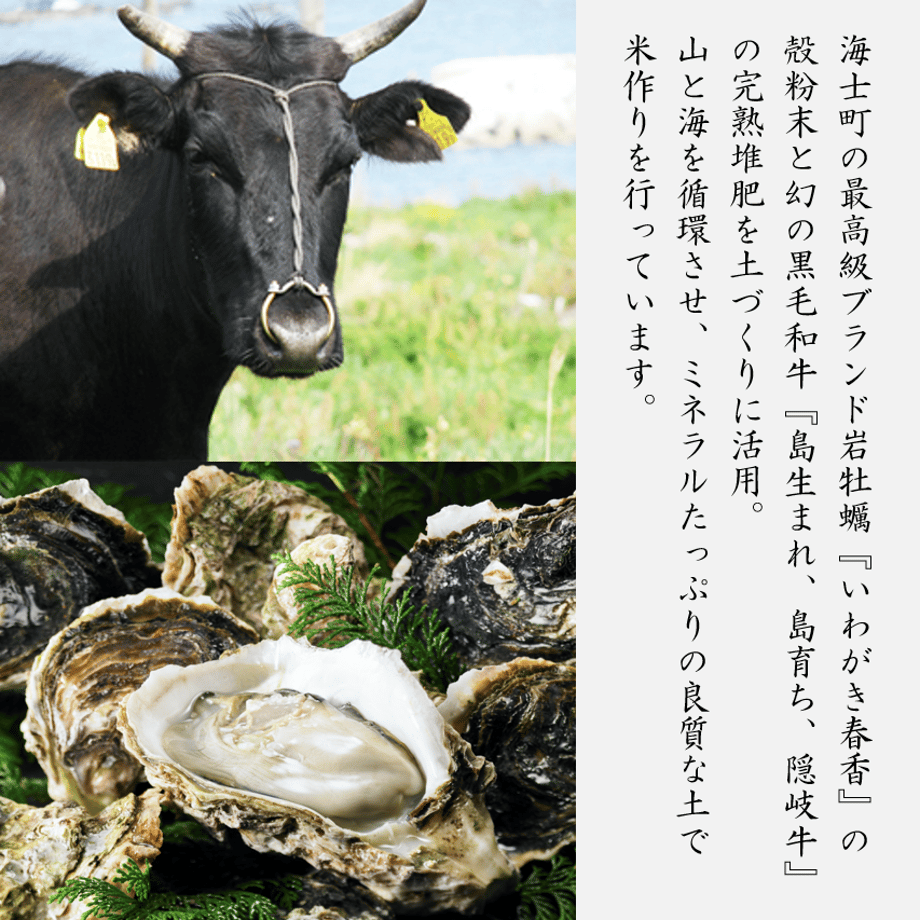 6080d013df62a9751c8e29d5