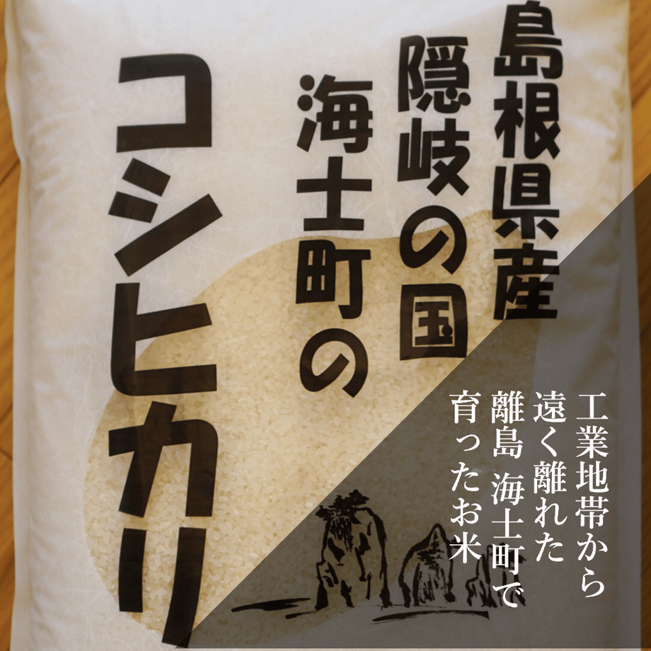 61833f8354ddd8158565ca71