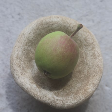 accessory plate