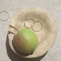 accessory plate