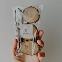 樹木の断片　櫟 kunugi 〈ミニ４個セット〉