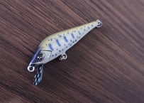 Sasakiya×FishmanCoffeeコラボ リアル50s リミテッドエディション（ナツヤマメ）※送料込みステッカー付き