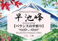 スタンダードランク】タンザニア キリマンジャロ（中煎り）※注文量