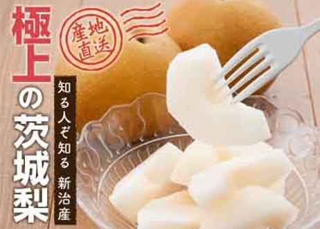 幸水 8玉【5kg】