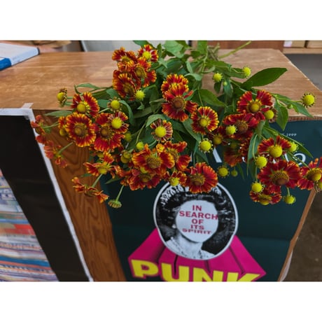 【ご来店お引取り専用】 一種お任せ生花の束/fresh flowers