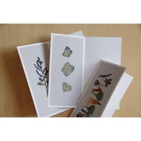postal flower / petal