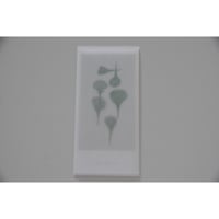blackbird gift card /カーネーション