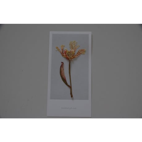 blackbird gift card /チューリップ