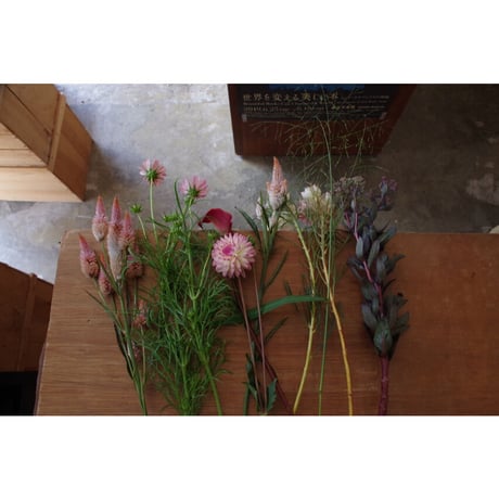 【ご来店お引取り専用】お任せ生花の束/fresh flowers