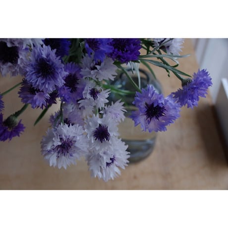 【配送】一種お任せ生花の束/fresh flowers