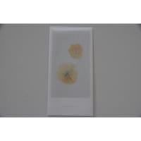blackbird gift card / パンジー