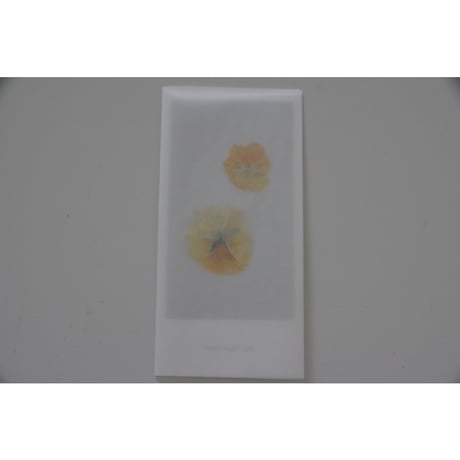 blackbird gift card / パンジー