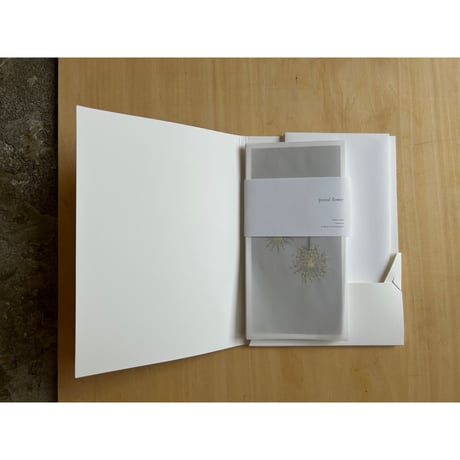 postal flower / didiscus white