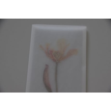 blackbird gift card /チューリップ