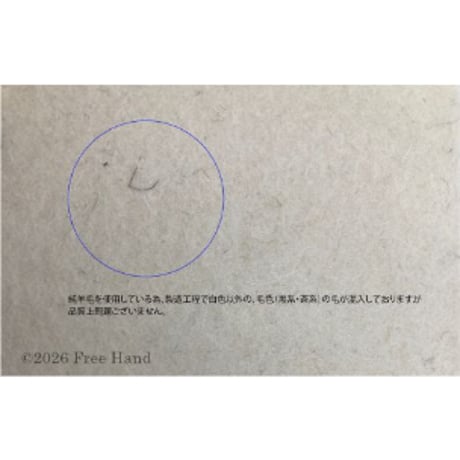 純羊毛フェルトスキージー(大判タイプ）2タイプ