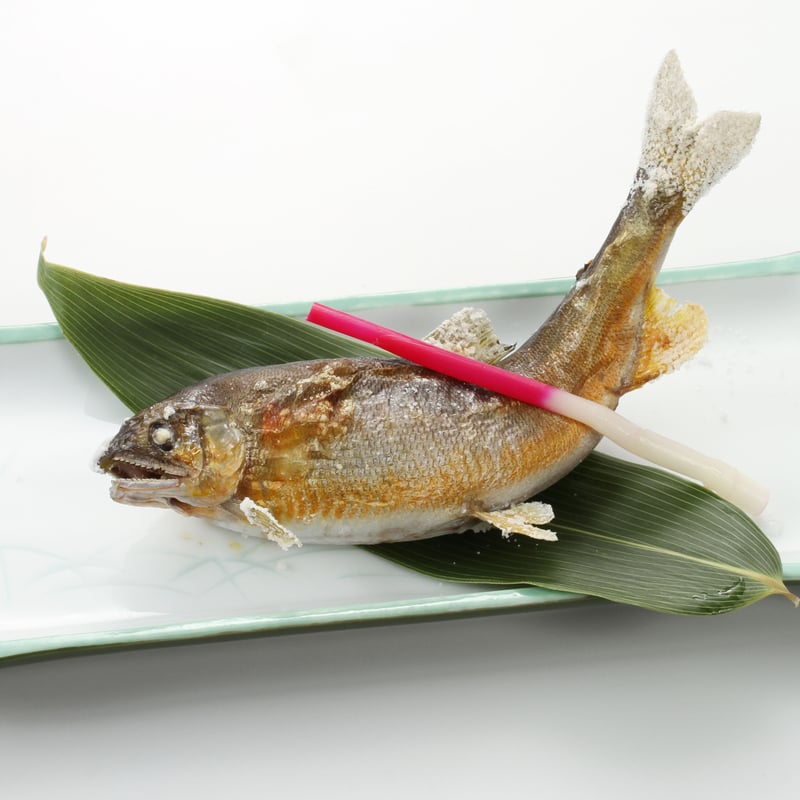 天然郡上鮎（2025年10月） 特大サイズ（冷凍） 8匹入り | 郡上八幡や