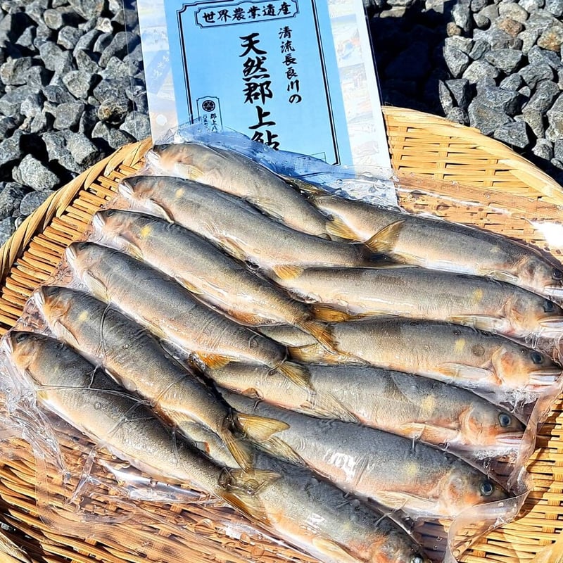 天然郡上鮎（2025年10月） 中小サイズ（冷凍） 1袋 12匹入り | 郡上