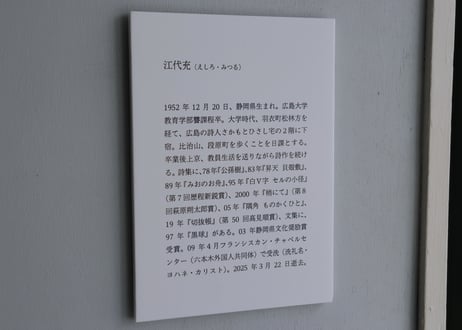 <本> 江代充『下絵抄 | 小冊の栞』おまけ葉書つき