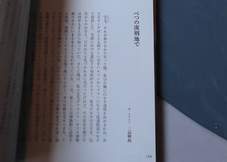 <本>『Tea Time 20』特典葉書つき