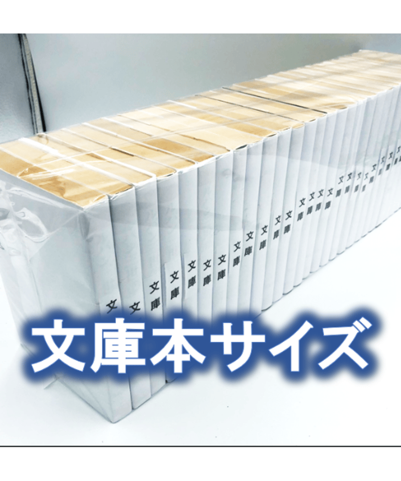 100枚入り】文庫サイズ約30冊用☆スプラータ☆セット本梱包資材