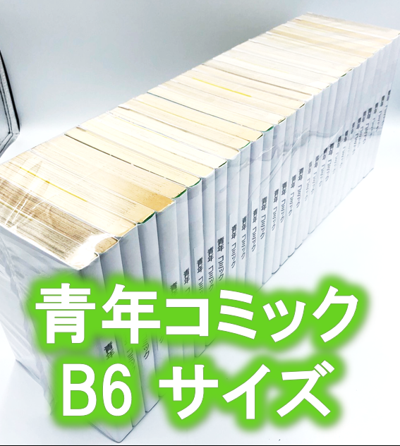 100枚入り】青年コミック(B6)サイズ約30冊用☆スプラータ☆セット本