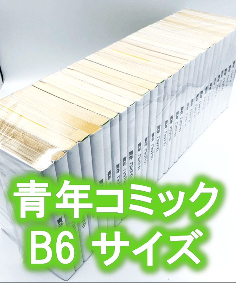 廉価版※【100枚入り】青年コミック(B6)サイズ約30冊用☆スプラータ