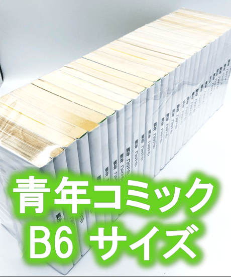 【20枚入り】青年コミック(B6)サイズ約30冊用★スプラータ★セット本梱包資材（掲載写真内の本は付属しません）