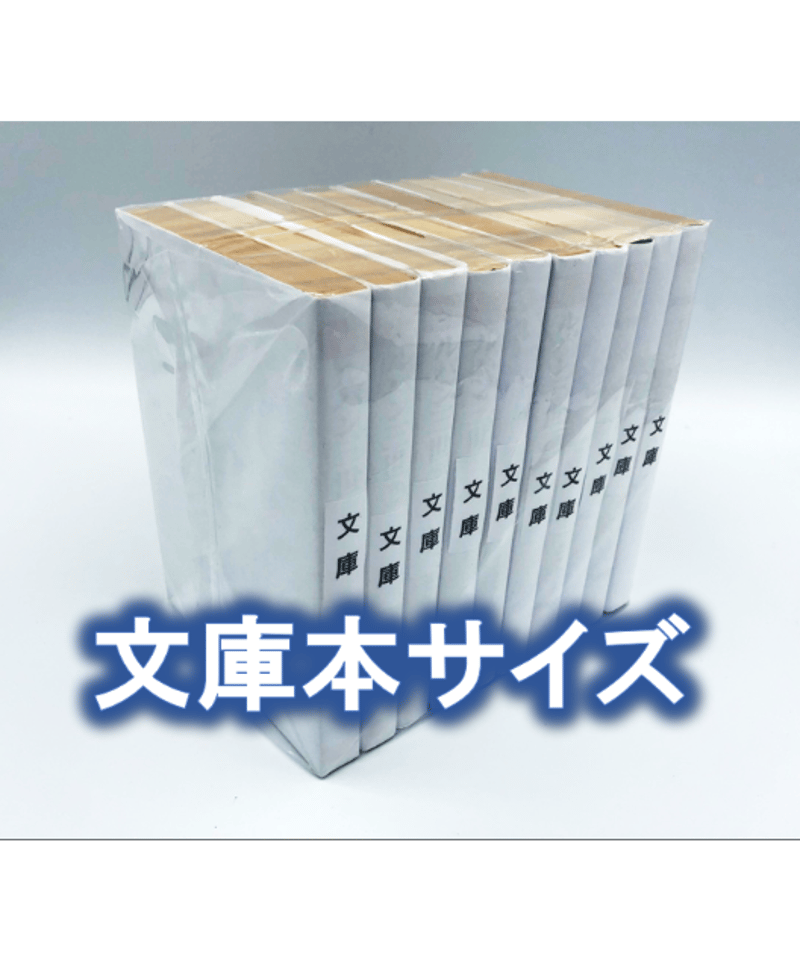 ■01)【同梱不可】フランス語の本・ペーパーバックなど まとめ売り約45冊大量セット/洋書/小説/フィガロの結婚/資本主義のダイナミクス/B 廉価版※【20枚入り】文庫サイズ約10冊用☆スプラータ☆セット本