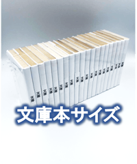 【100枚入り】文庫サイズ約20冊用★スプラータ★セット本梱包資材（掲載写真内の本は付属しません）