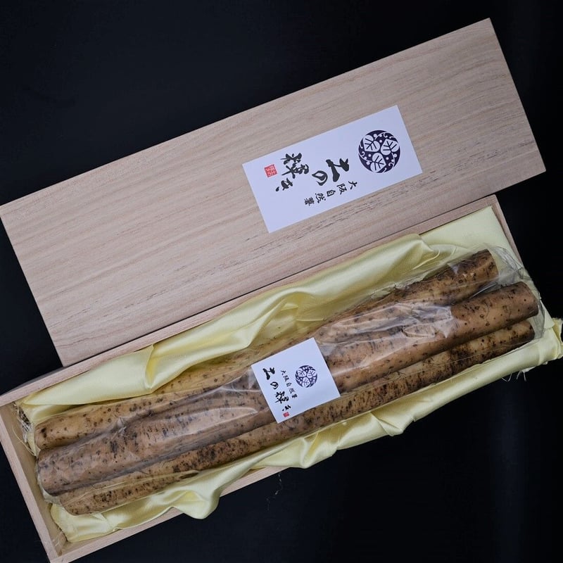 送料込]大阪自然薯「土の輝き」木箱入り 大阪府熊取町産自然薯(800g