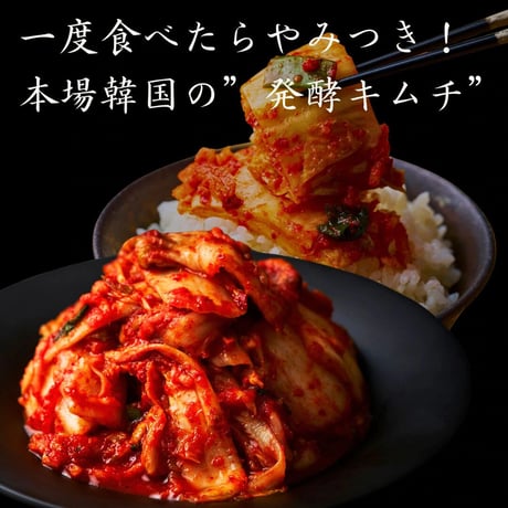 [送料込]【キムチ200ｇ付き】お肉の花～萌芽～(250g・約1～2人前)【白雲台】